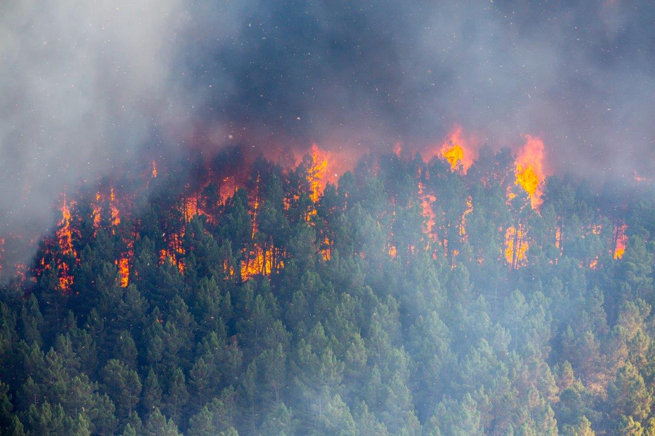 Alerta de risco para aumento de incêndios florestais